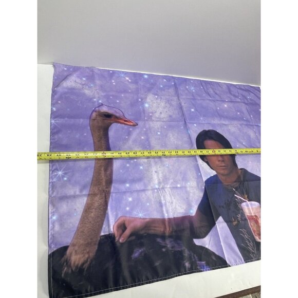 iCarly Spencer Shay iCarly Tapestry Flag Funny Dorm Room Decor … - Picture 6 of 7